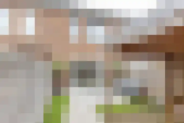 Jip en Jannekelaan 56 Zaltbommel thumbnail 6