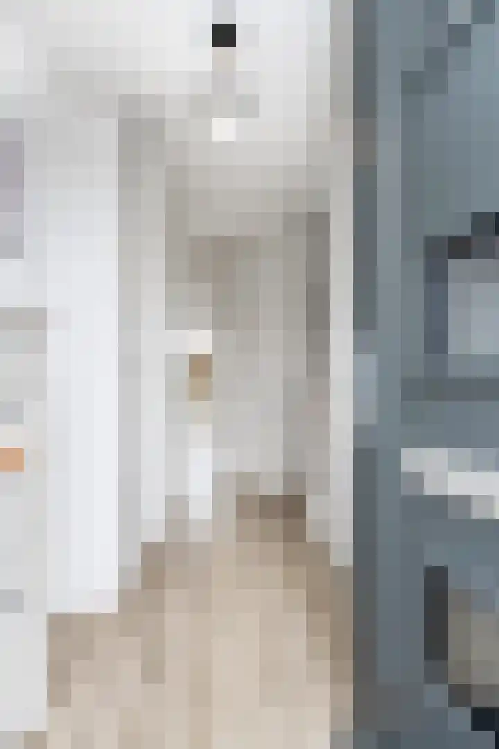 Jip en Jannekelaan 56 Zaltbommel thumbnail 8
