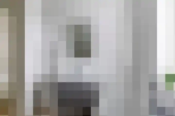 Jip en Jannekelaan 58 Zaltbommel thumbnail 13