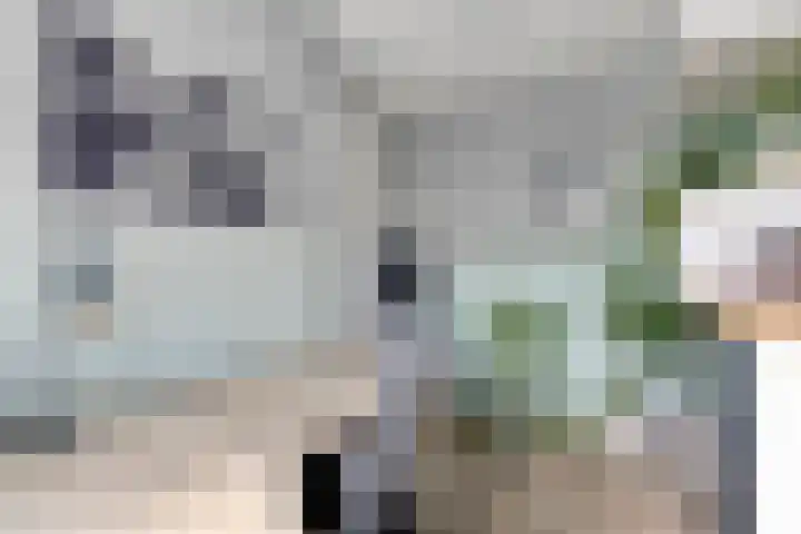 Jip en Jannekelaan 58 Zaltbommel thumbnail 15