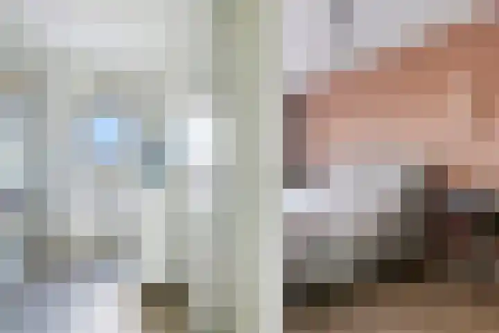 Jip en Jannekelaan 58 Zaltbommel thumbnail 18