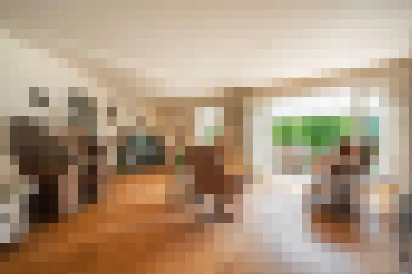 Jipkesbeltweg 12 Nijverdal thumbnail 13
