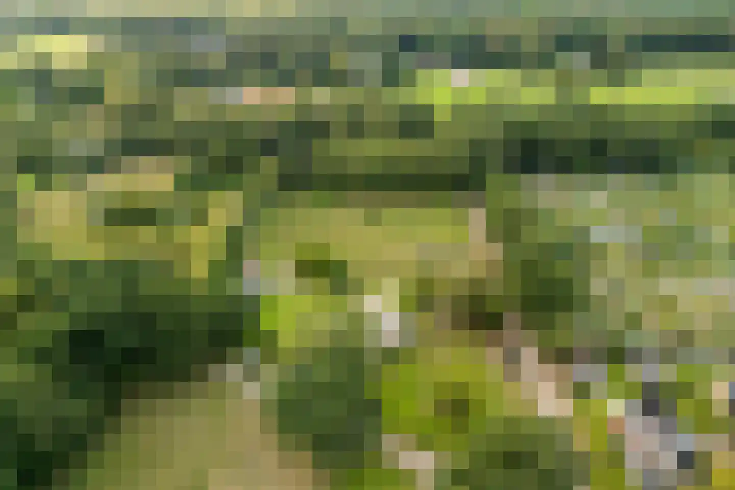 Jipkesbeltweg 12 Nijverdal thumbnail 32