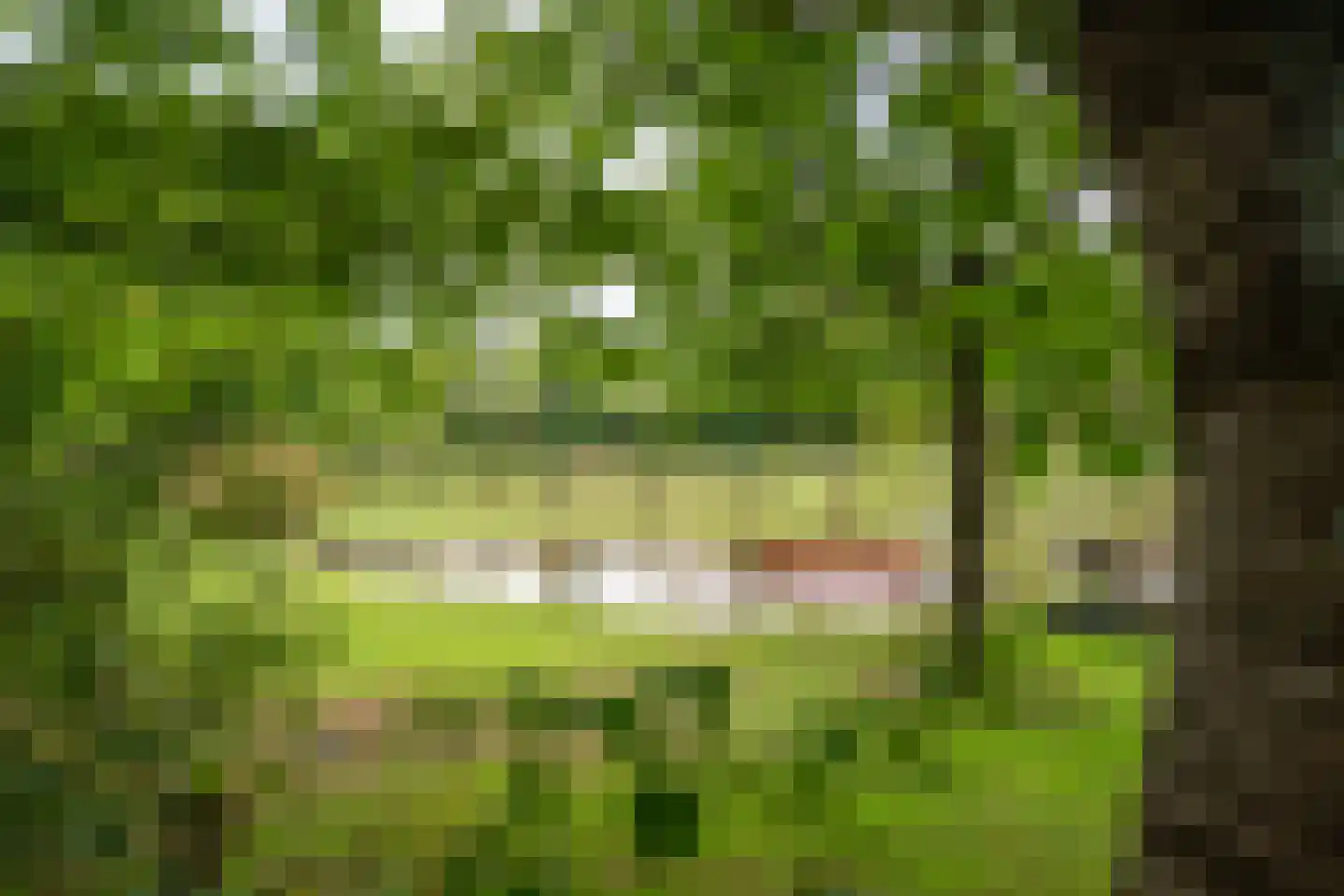 Jipkesbeltweg 12 Nijverdal thumbnail 5