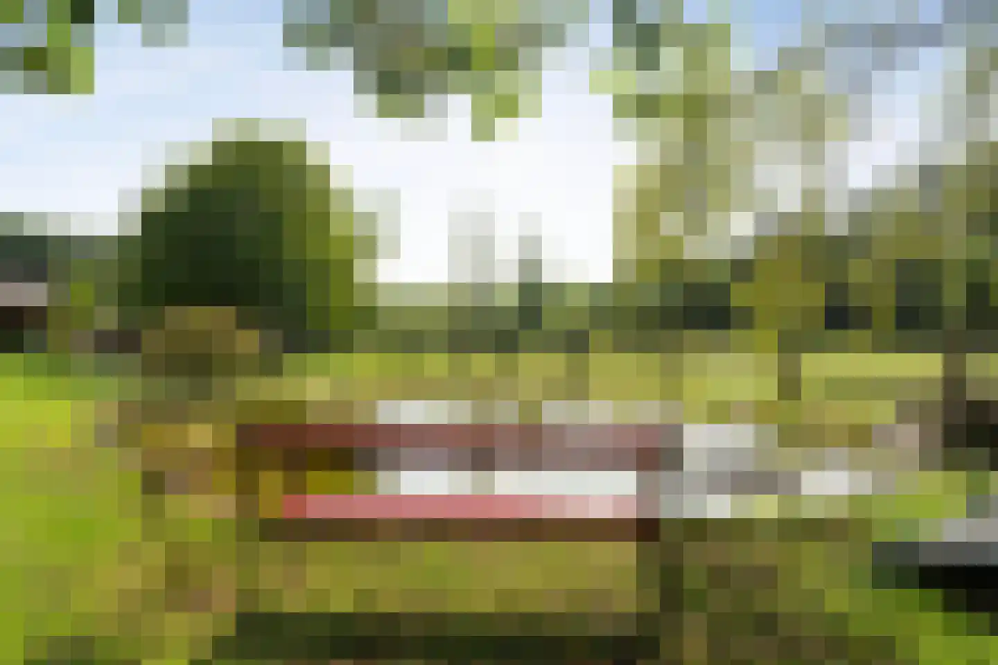 Jipkesbeltweg 12 Nijverdal thumbnail 6