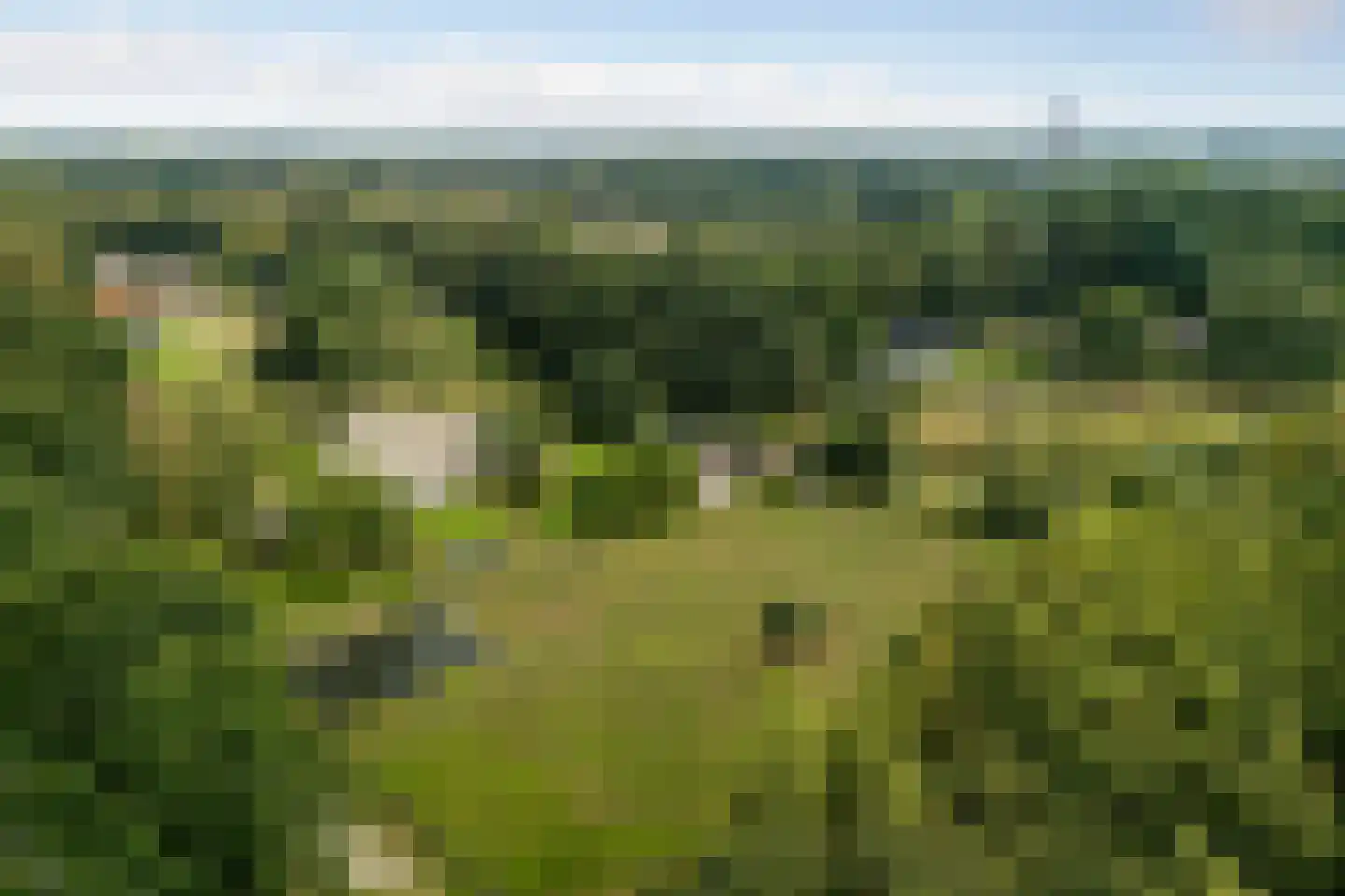 Jipkesbeltweg 12 Nijverdal thumbnail 8