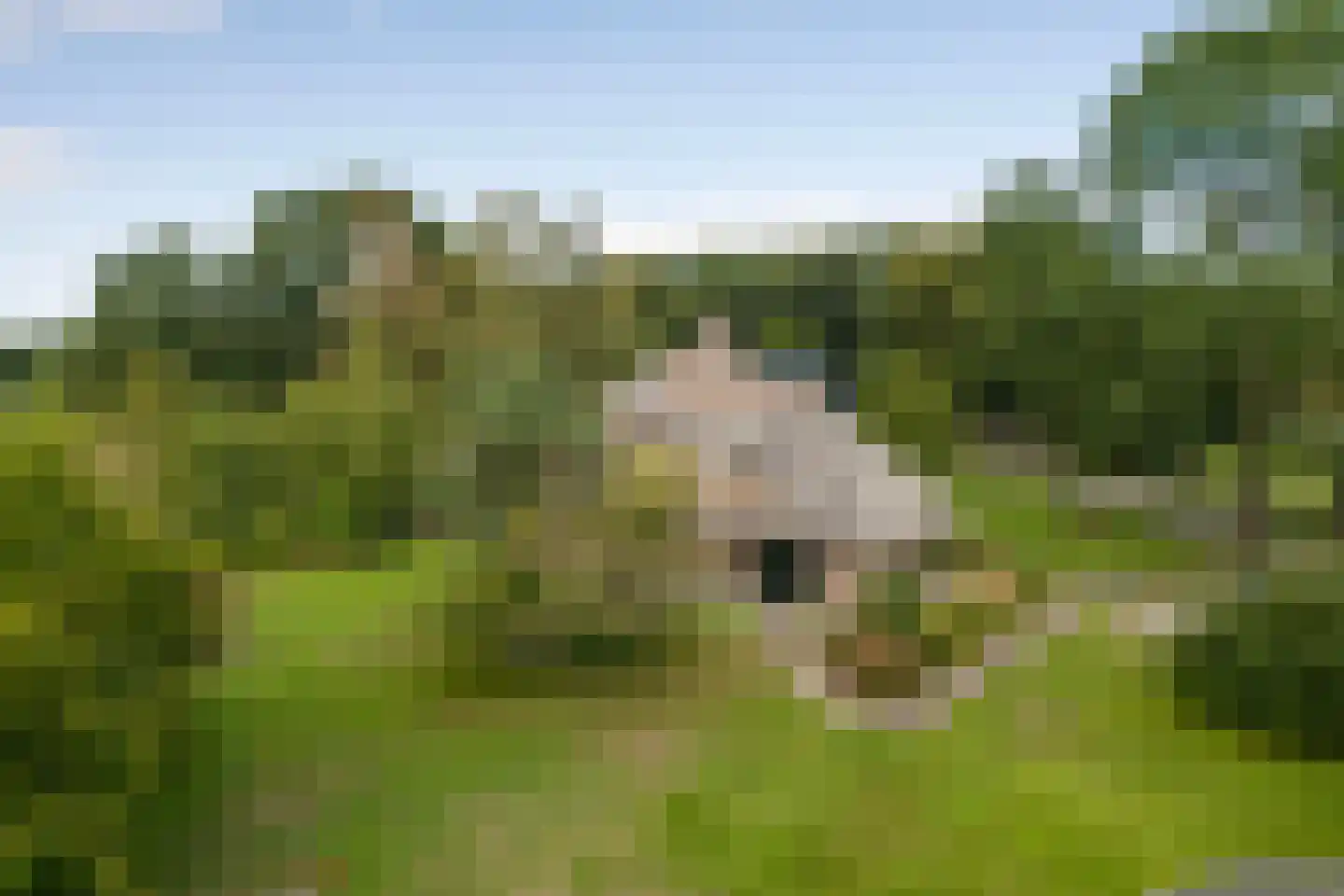 Jipkesbeltweg 12 Nijverdal thumbnail 9