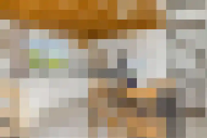 Jippesstraat 44 Oudesluis thumbnail 10