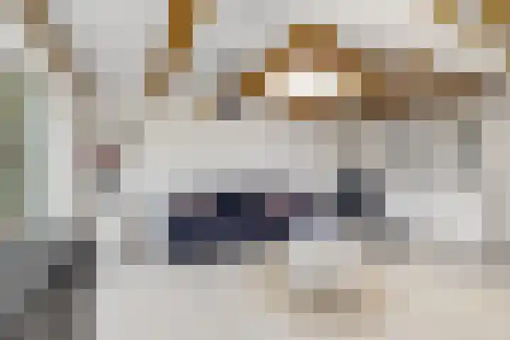 Jippesstraat 44 Oudesluis thumbnail 13