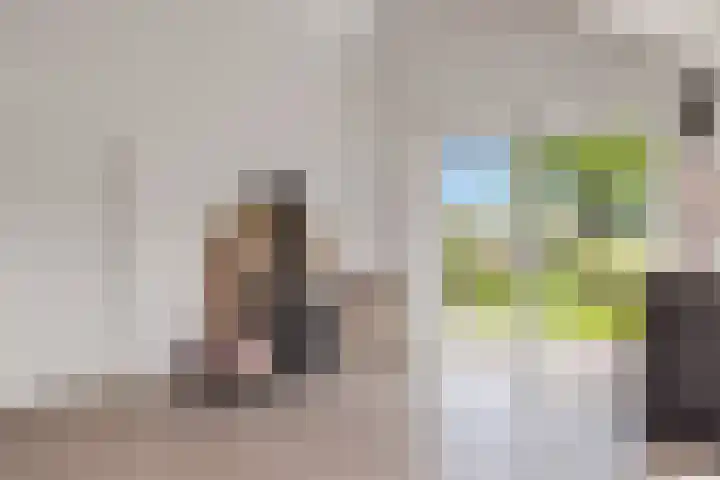 Jippesstraat 44 Oudesluis thumbnail 16