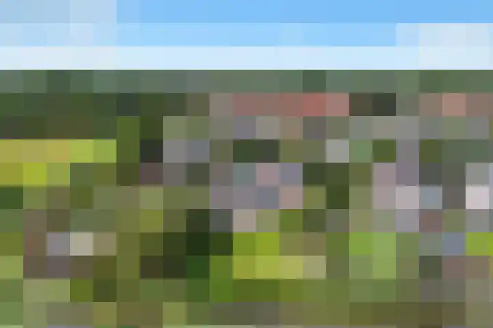 Jippesstraat 44 Oudesluis thumbnail 32