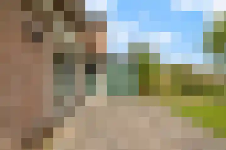 Jippesstraat 44 Oudesluis thumbnail 34
