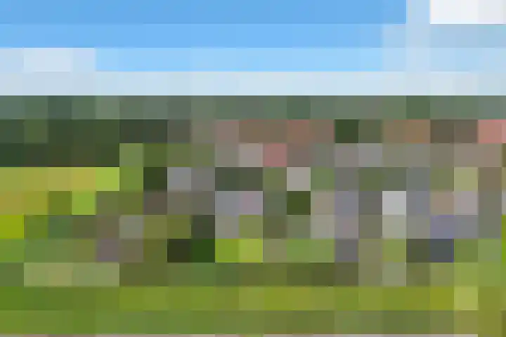 Jippesstraat 44 Oudesluis thumbnail 36