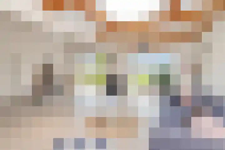 Jippesstraat 44 Oudesluis thumbnail 4