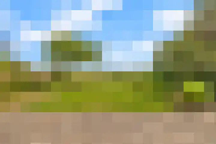 Jippesstraat 44 Oudesluis thumbnail 5