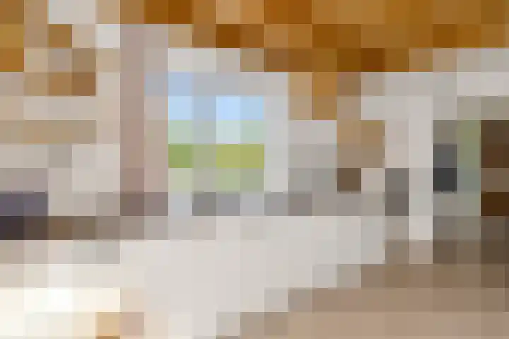 Jippesstraat 44 Oudesluis thumbnail 8