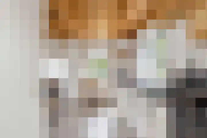 Jippesstraat 44 Oudesluis thumbnail 9