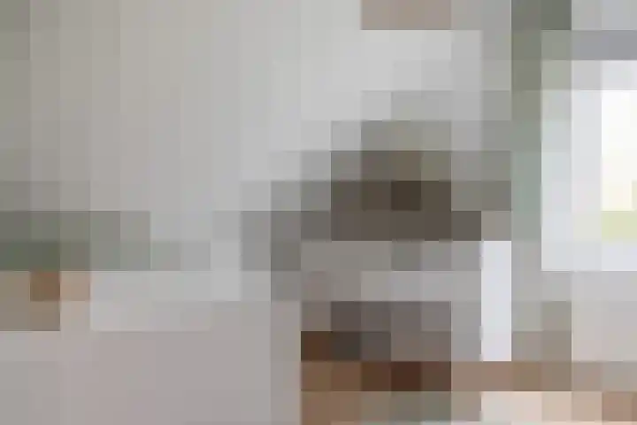Jippesstraat 46 Oudesluis thumbnail 17