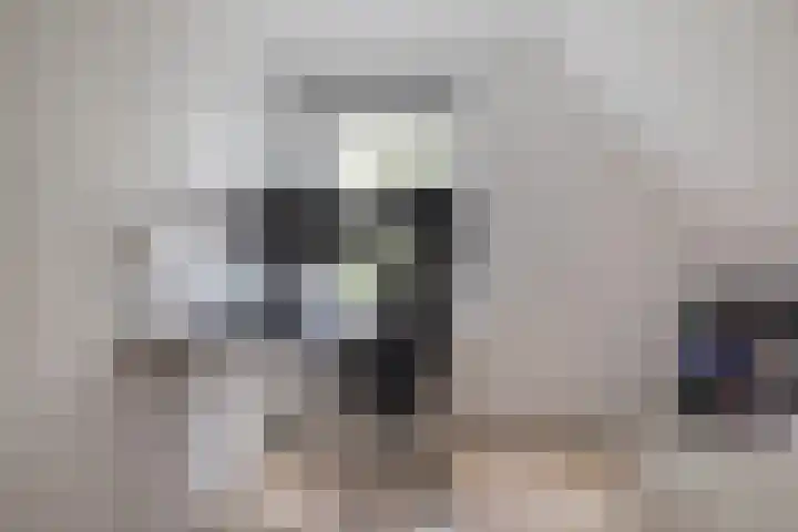 Jippesstraat 46 Oudesluis thumbnail 18