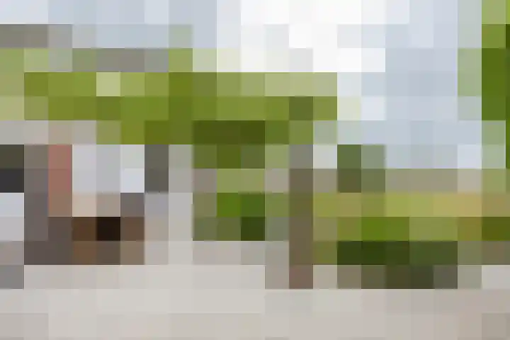 Jippesstraat 46 Oudesluis thumbnail 20