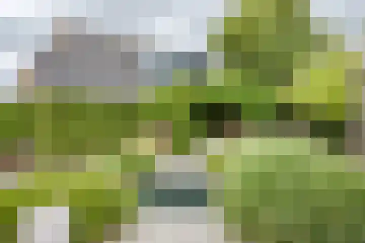 Jippesstraat 46 Oudesluis thumbnail 21
