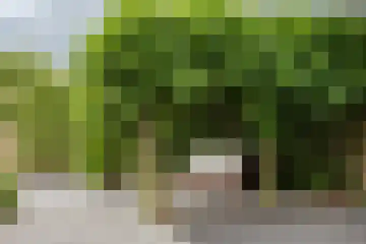 Jippesstraat 46 Oudesluis thumbnail 22