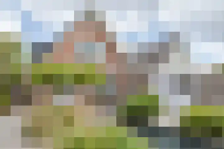 Jippesstraat 46 Oudesluis thumbnail 25