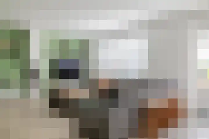 Jippesstraat 46 Oudesluis thumbnail 4