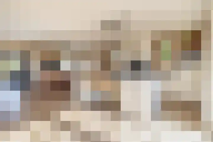 Jipsingboertangerweg 11 Sellingen thumbnail 21