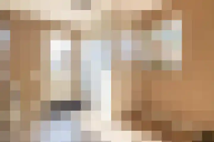 Jipsingboertangerweg 11 Sellingen thumbnail 26