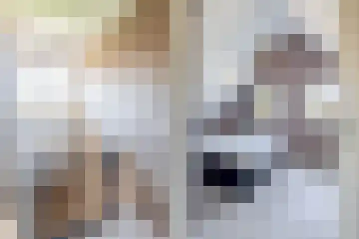 Jipsingboertangerweg 11 Sellingen thumbnail 27