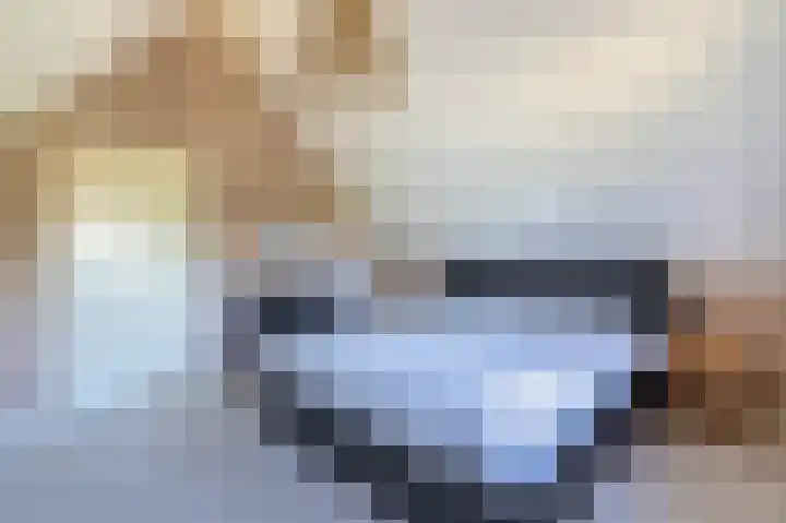 Jipsingboertangerweg 11 Sellingen thumbnail 31