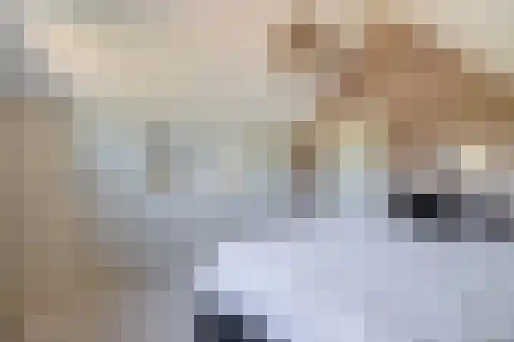 Jipsingboertangerweg 11 Sellingen thumbnail 32