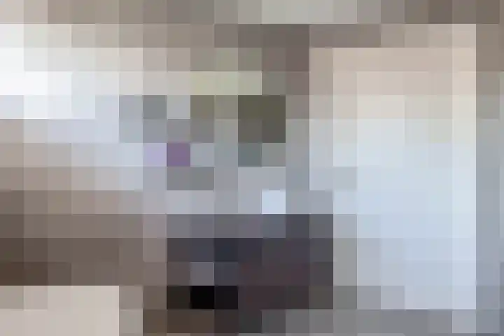 Jipsingboertangerweg 11 Sellingen thumbnail 34