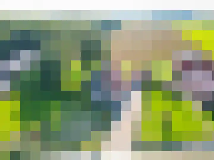 Jipsingboertangerweg 11 Sellingen thumbnail 4