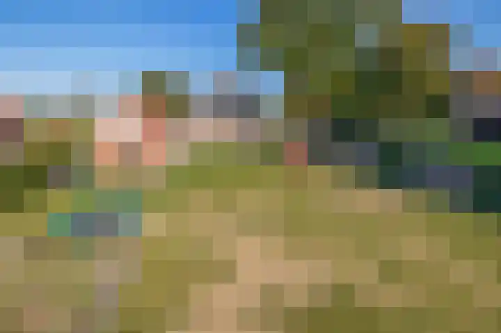 Jipsingboertangerweg 11 Sellingen thumbnail 41