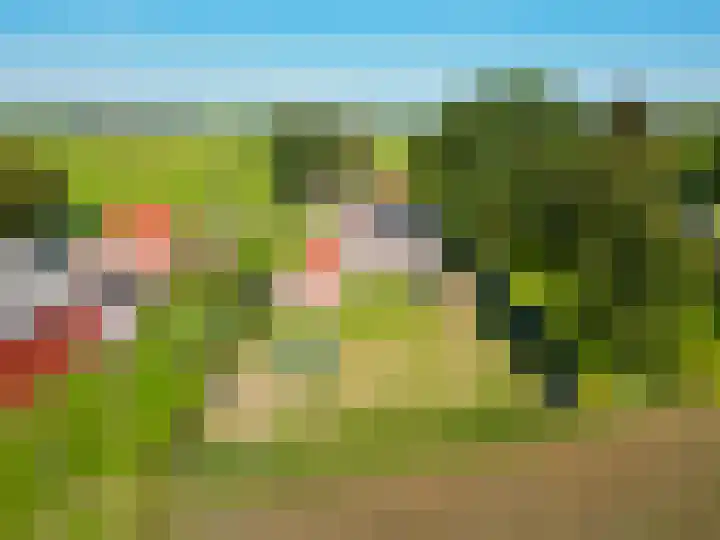 Jipsingboertangerweg 11 Sellingen thumbnail 42