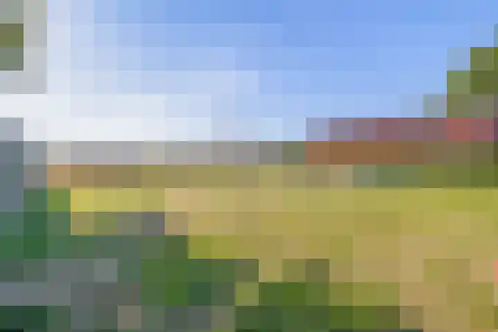 Jipsingboertangerweg 11 Sellingen thumbnail 45