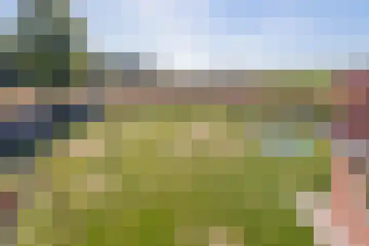 Jipsingboertangerweg 11 Sellingen thumbnail 46
