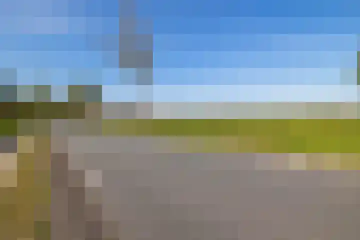 Jipsingboertangerweg 11 Sellingen thumbnail 48