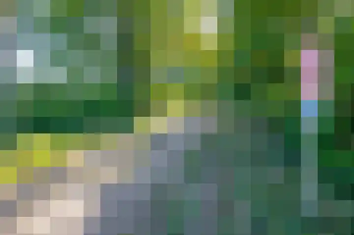 Jipsingboertangerweg 11 Sellingen thumbnail 49