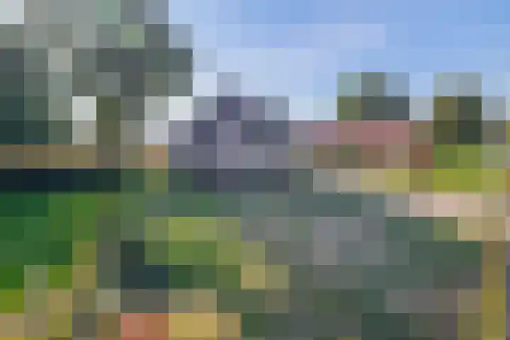 Jipsingboertangerweg 11 Sellingen thumbnail 5