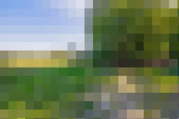 Jipsingboertangerweg 11 Sellingen thumbnail 50