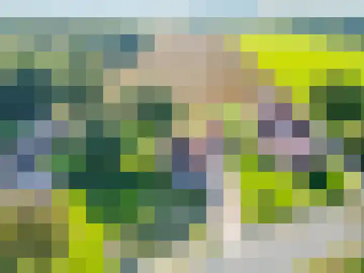 Jipsingboertangerweg 11 Sellingen thumbnail 51