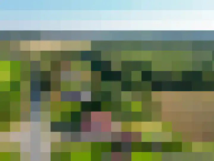 Jipsingboertangerweg 11 Sellingen thumbnail 52