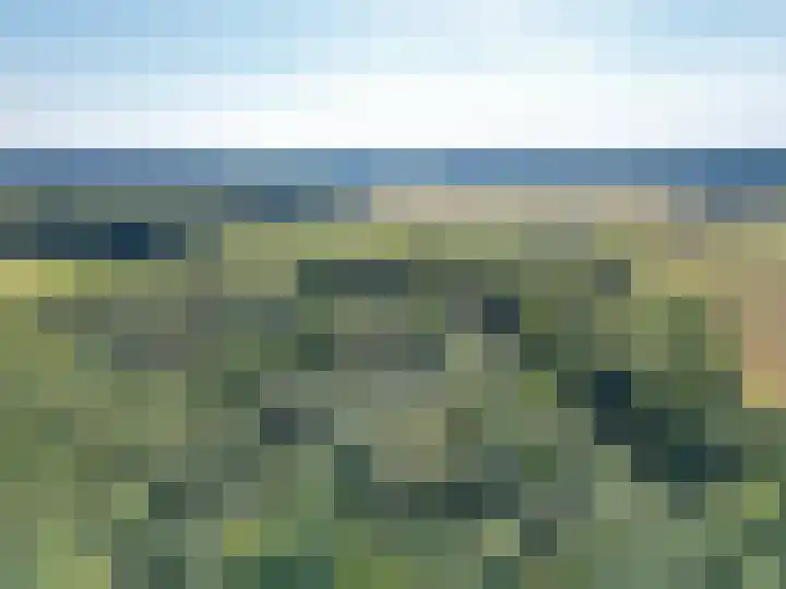 Jipsingboertangerweg 11 Sellingen thumbnail 53