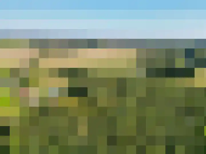 Jipsingboertangerweg 11 Sellingen thumbnail 54