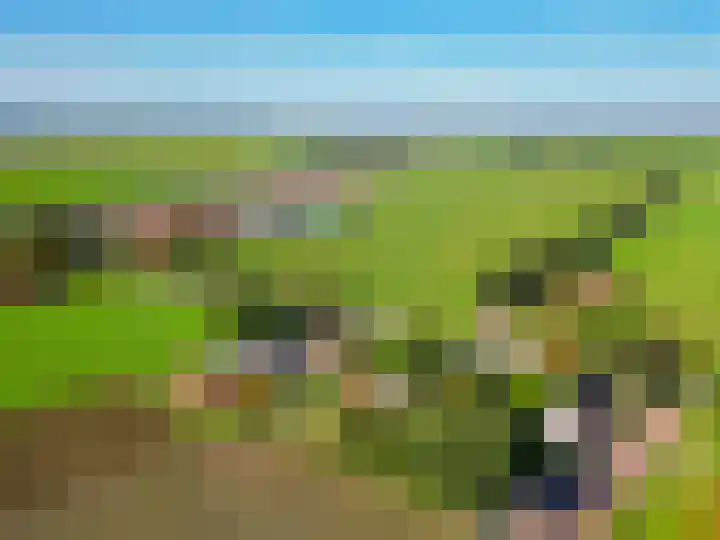 Jipsingboertangerweg 11 Sellingen thumbnail 55