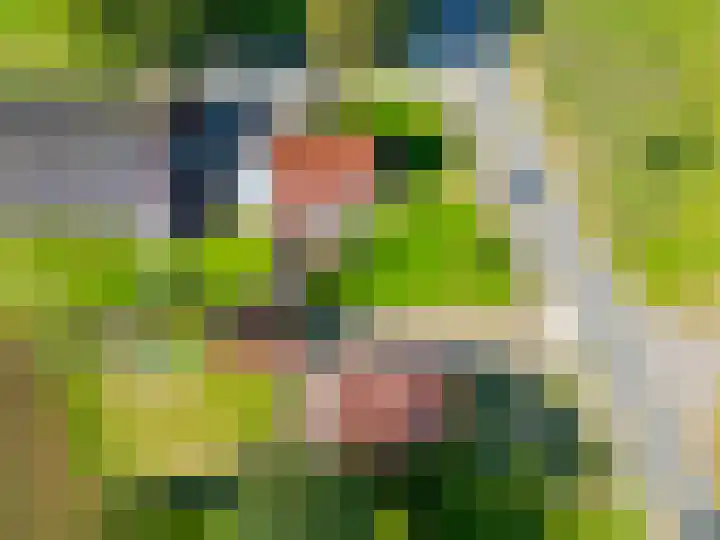 Jipsingboertangerweg 11 Sellingen thumbnail 56