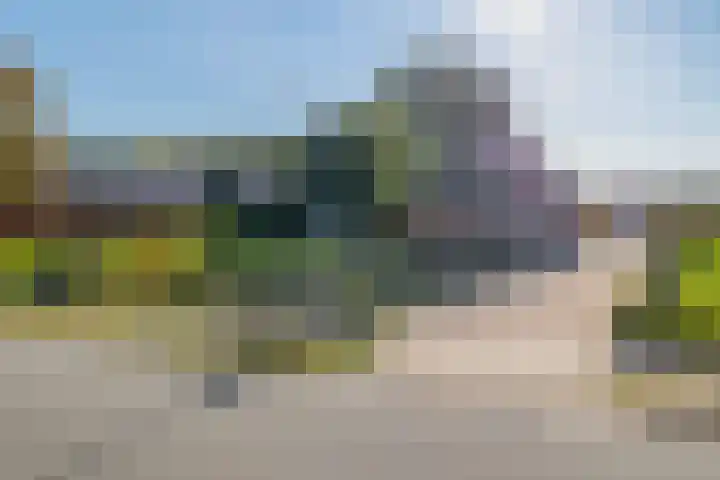 Jipsingboertangerweg 11 Sellingen thumbnail 6